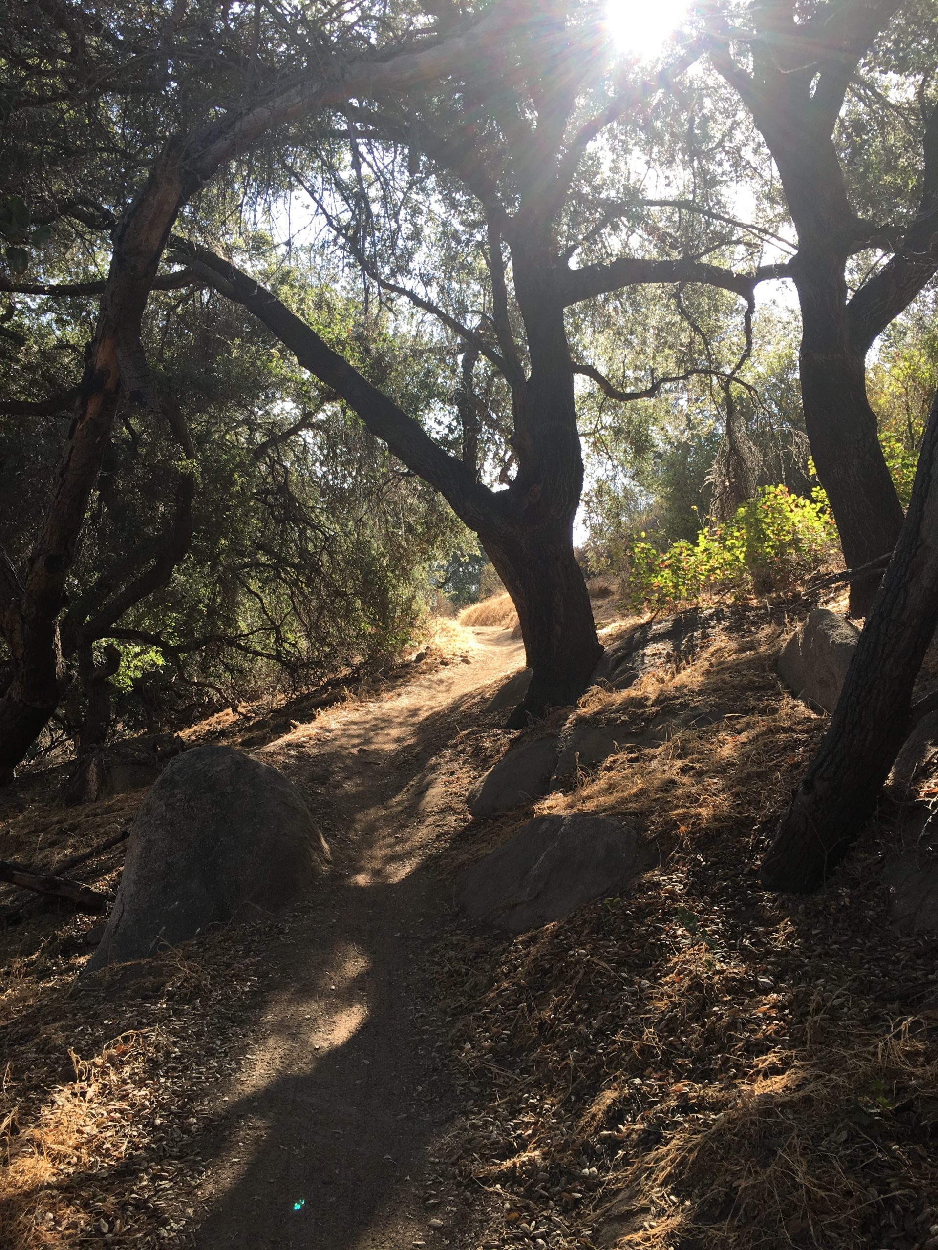 Raptor Ridge Trail – San Diego Peak Bagging