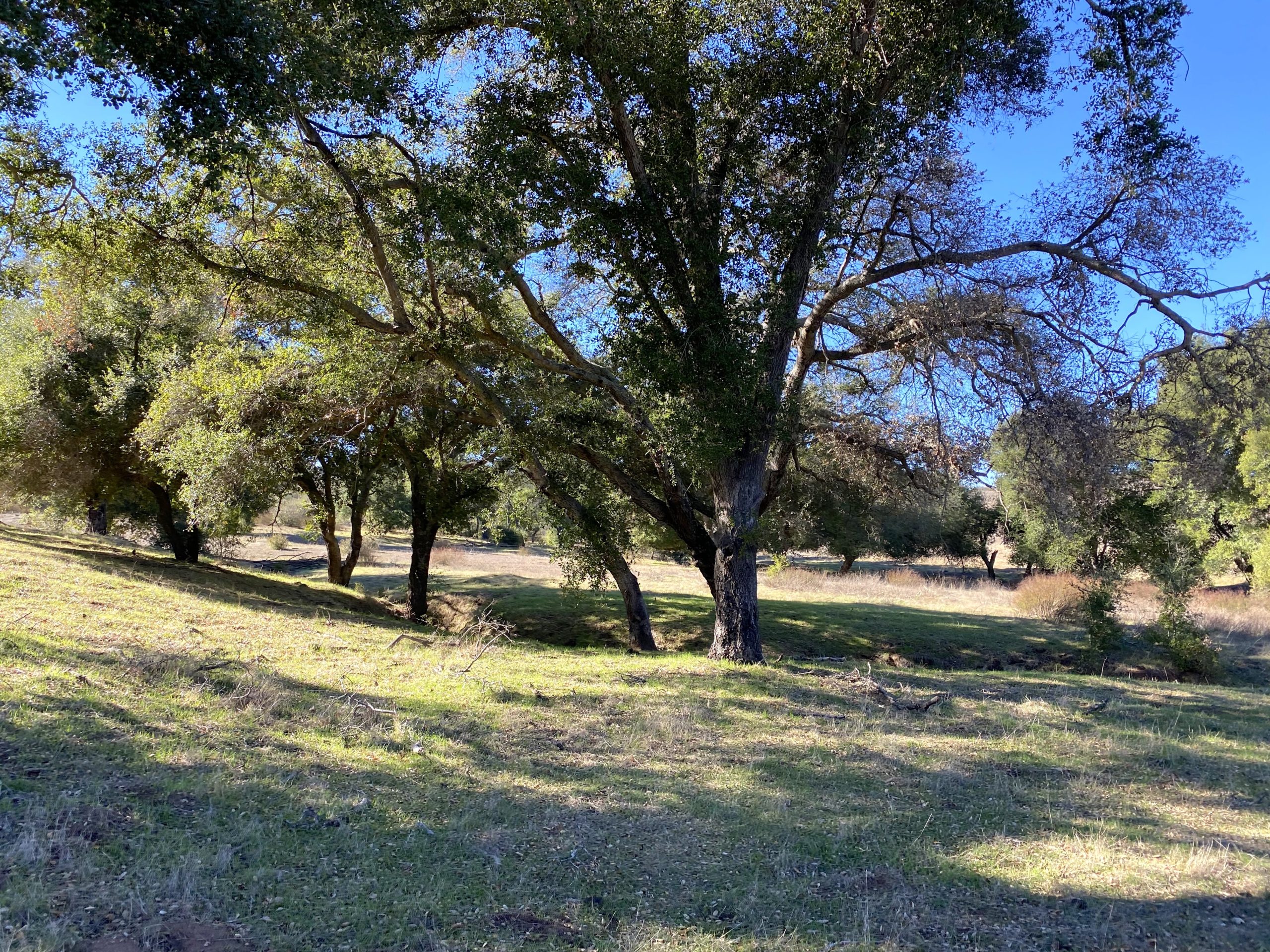 Ramona Grasslands – San Diego Peak Bagging