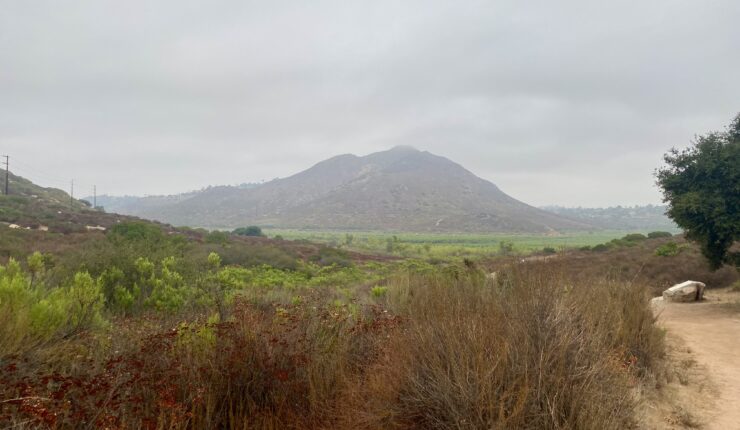 Bernardo Bay & Piedras Pintadas Trail Loop