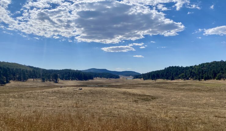 Big Laguna Meadow