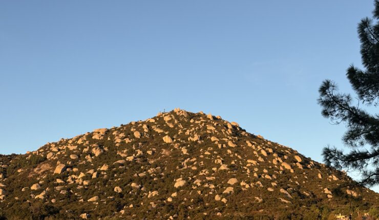 New Year’s Day on Woodson Mountain