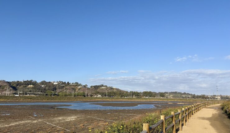 Strolling along the Tidal Trail