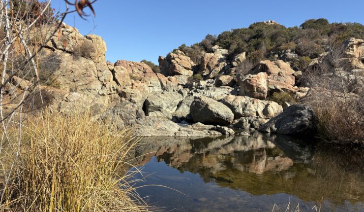 Hiking the Duck Pond Loop